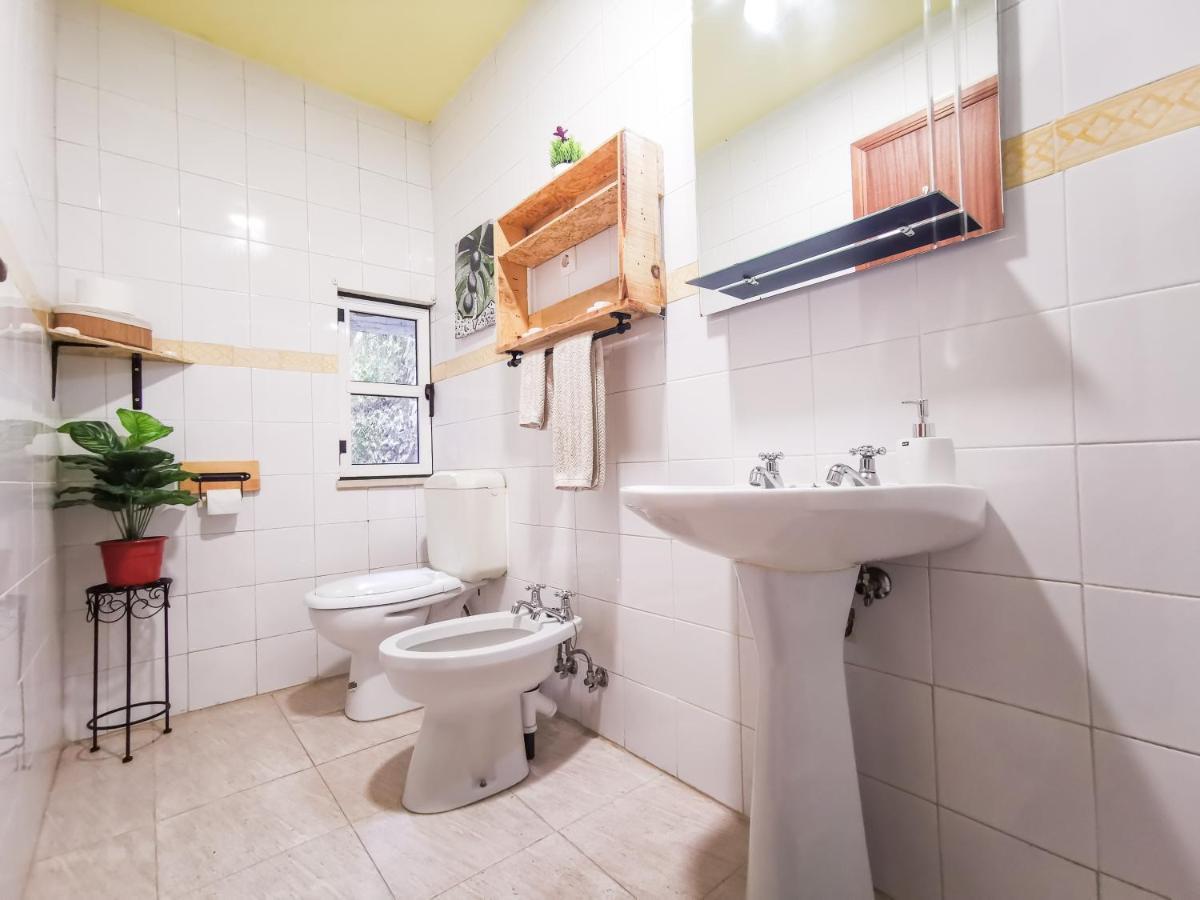 Casa Poema Next To River Tejo & Zezere Villa Constancia Ngoại thất bức ảnh